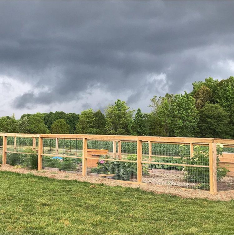 A fenced garden with plants and flowers under a dark, cloudy sky, surrounded by green trees in the background.