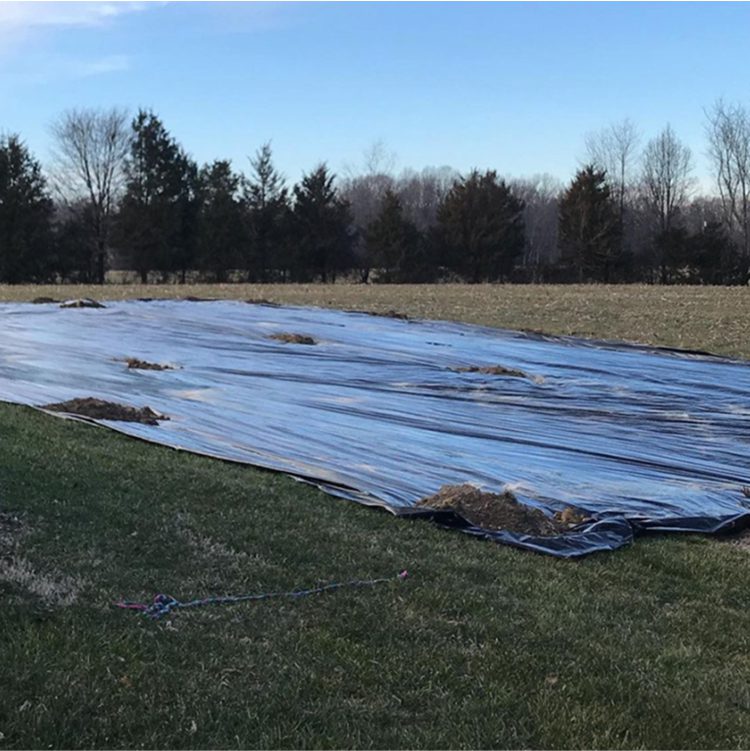 A large black plastic sheet covers a patch of soil in a grassy field with trees in the background on a clear day.