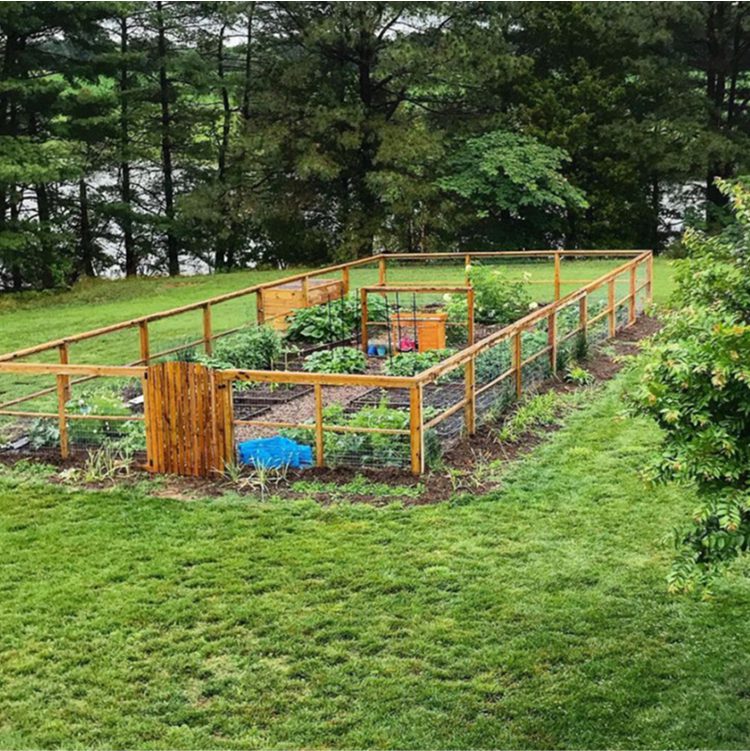A fenced garden with various plants and vegetables, surrounded by lush green grass and trees in the background.